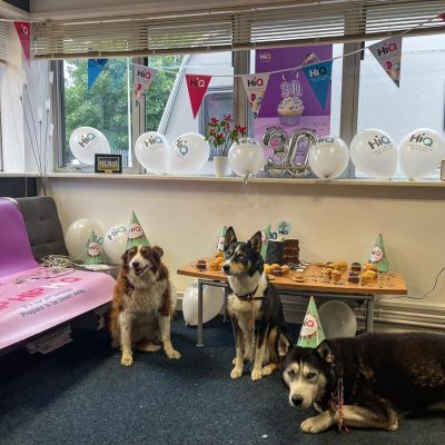 Hi Q Tyres Autocare Preston Birthday Photo Dogs 7