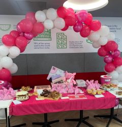 Hi Q Pink October Bake Sale all the cakes ready