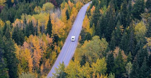 The Best Car Air Fresheners 2024