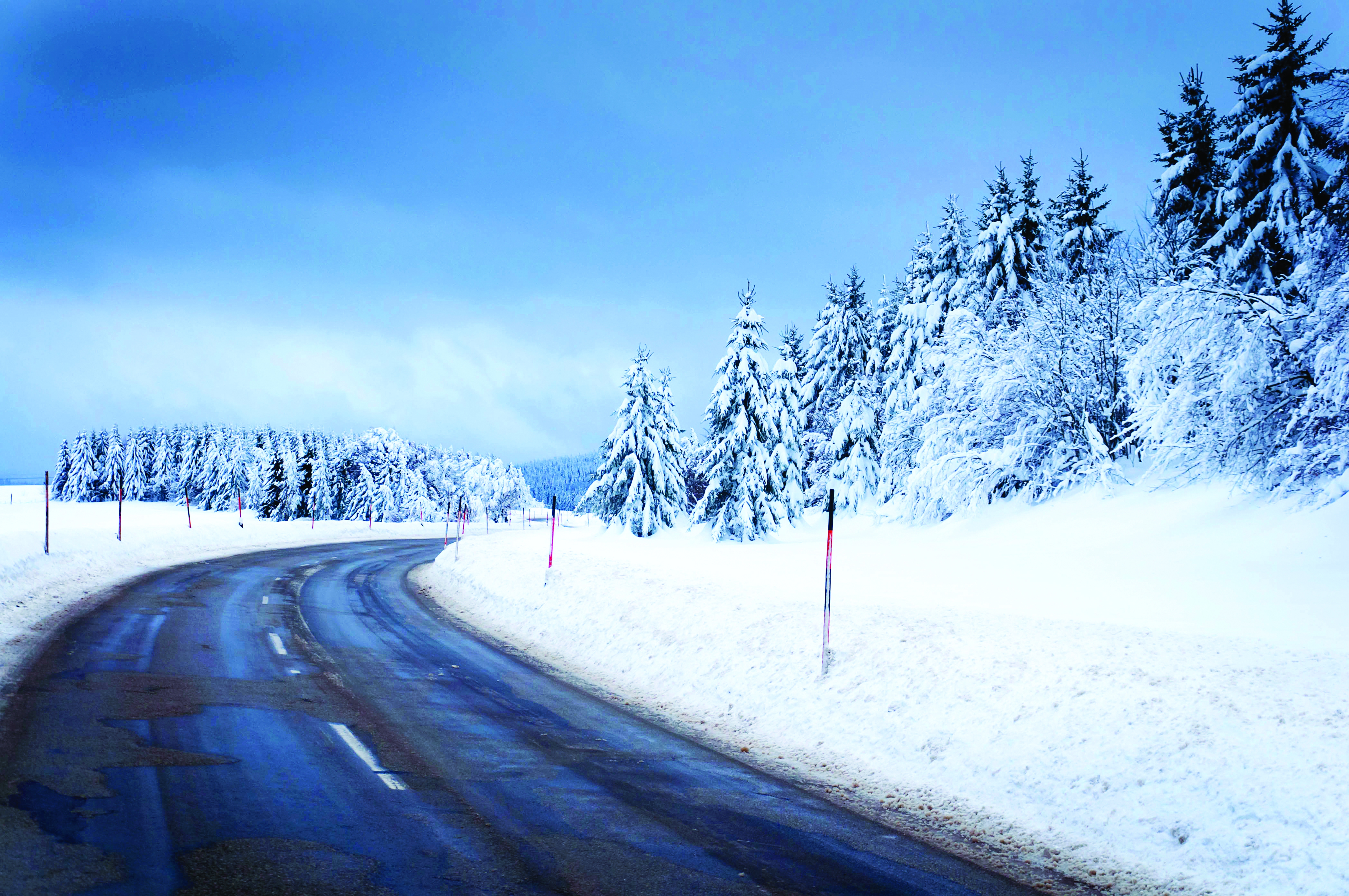 Sava stock file_winter